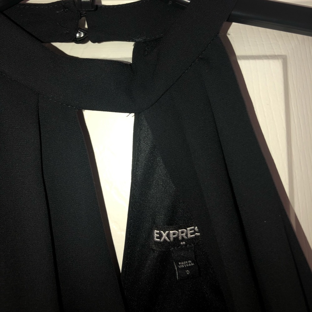 Express Dress - Picture 3 of 3